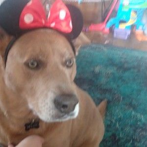 Meet your Posher, Nikki